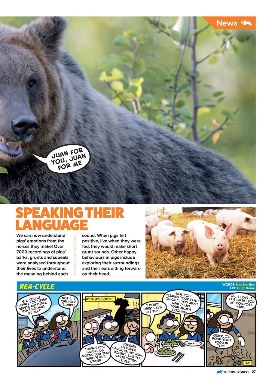 Animal Planet Kids Preview Pages