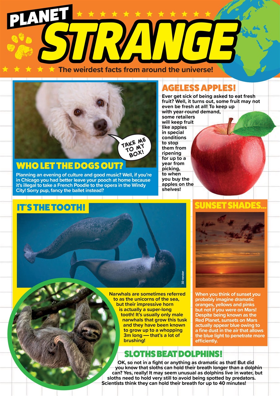 Animal Planet Kids Preview Pages