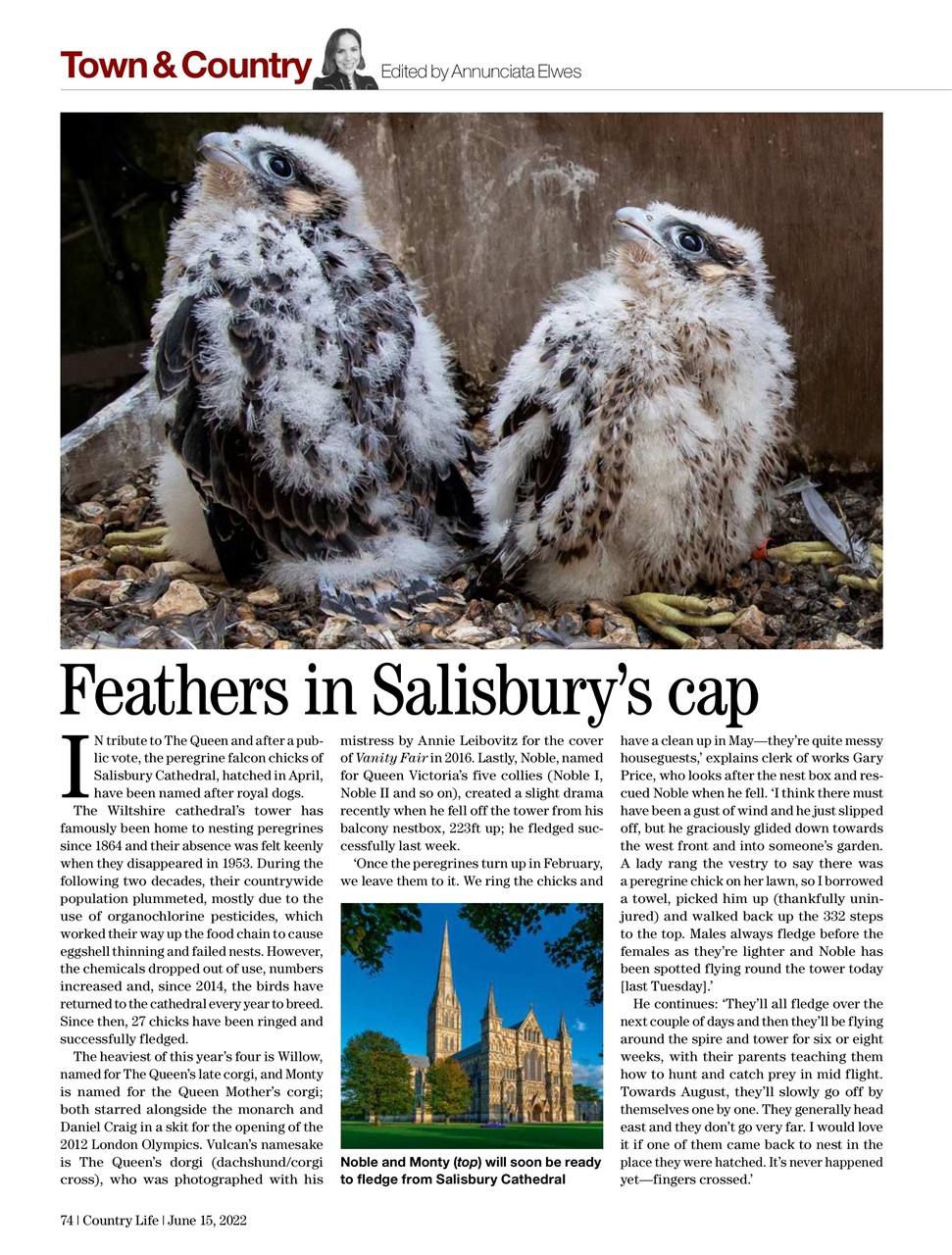 Country Life Preview Pages