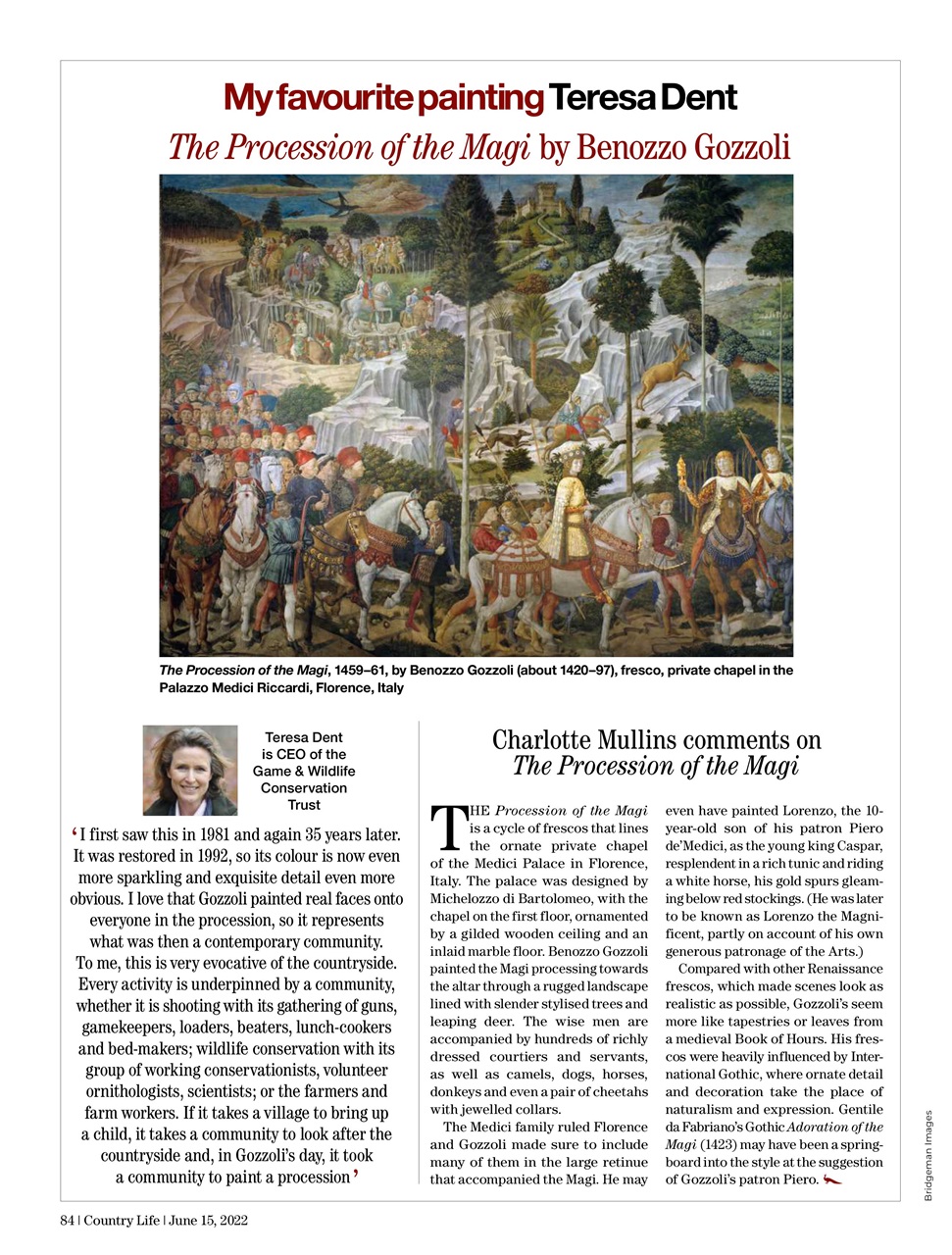 Country Life Preview Pages