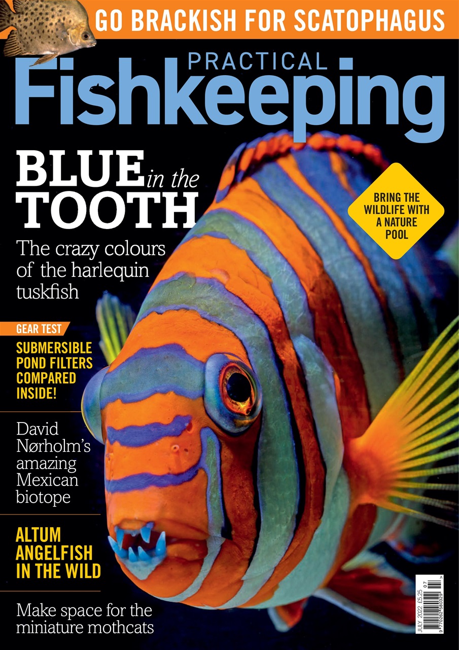 Practical Fishkeeping Preview Pages