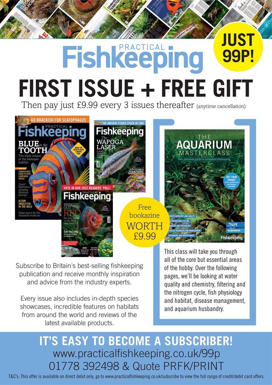 Practical Fishkeeping Preview Pages