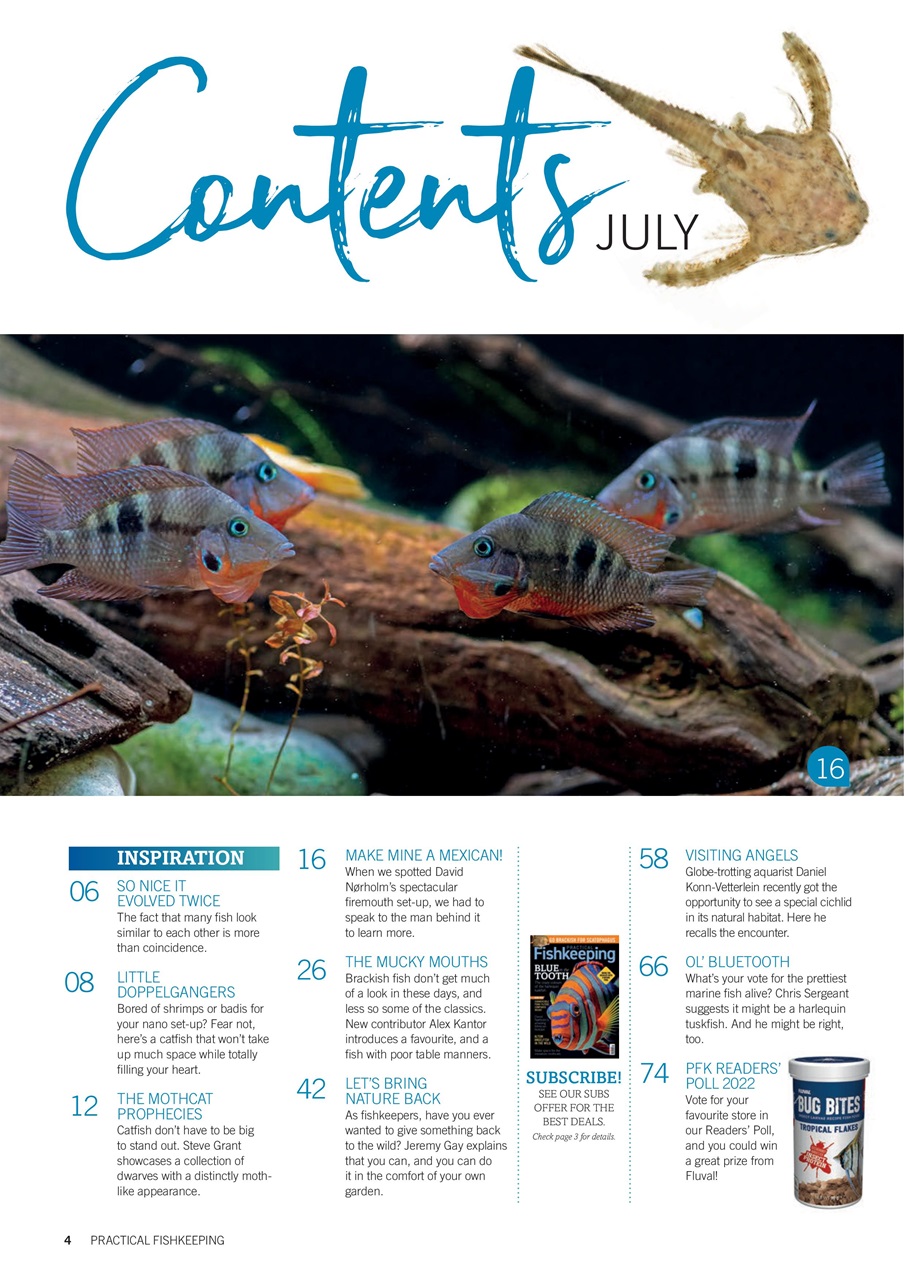 Practical Fishkeeping Preview Pages