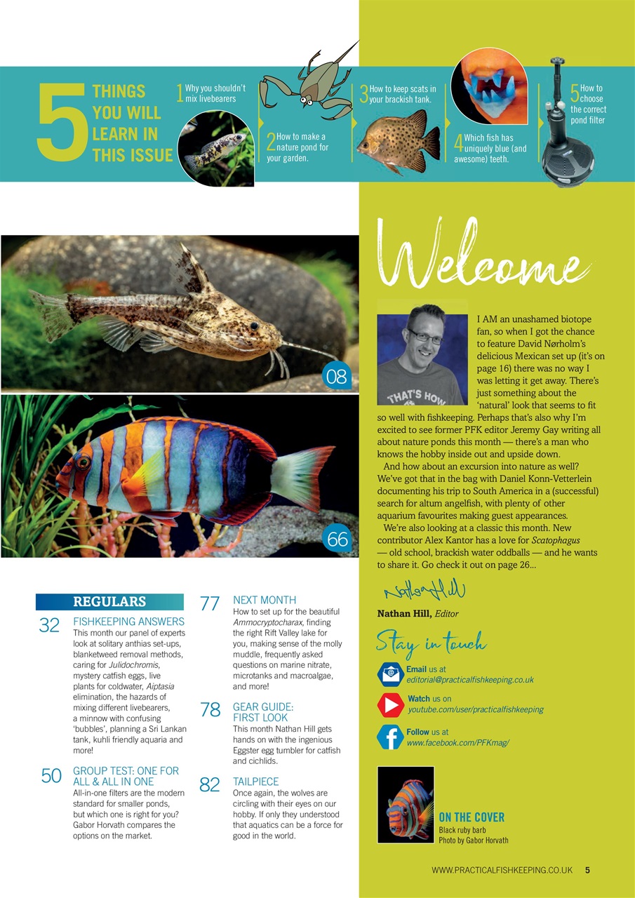 Practical Fishkeeping Preview Pages
