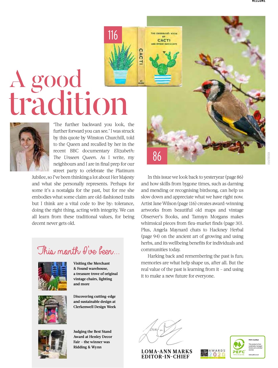 Reclaim Preview Pages