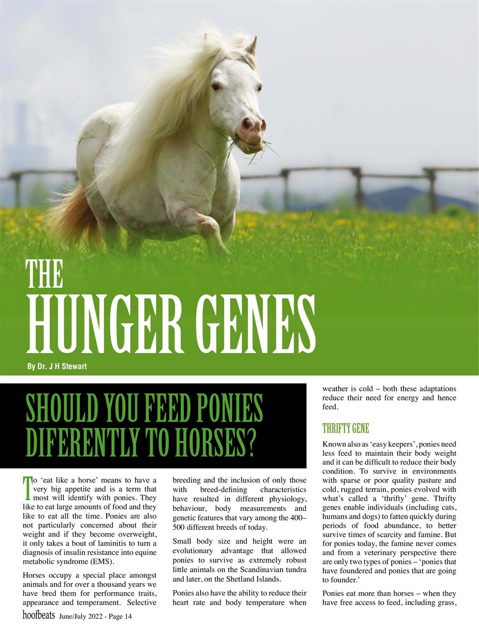 Hoofbeats Preview Pages