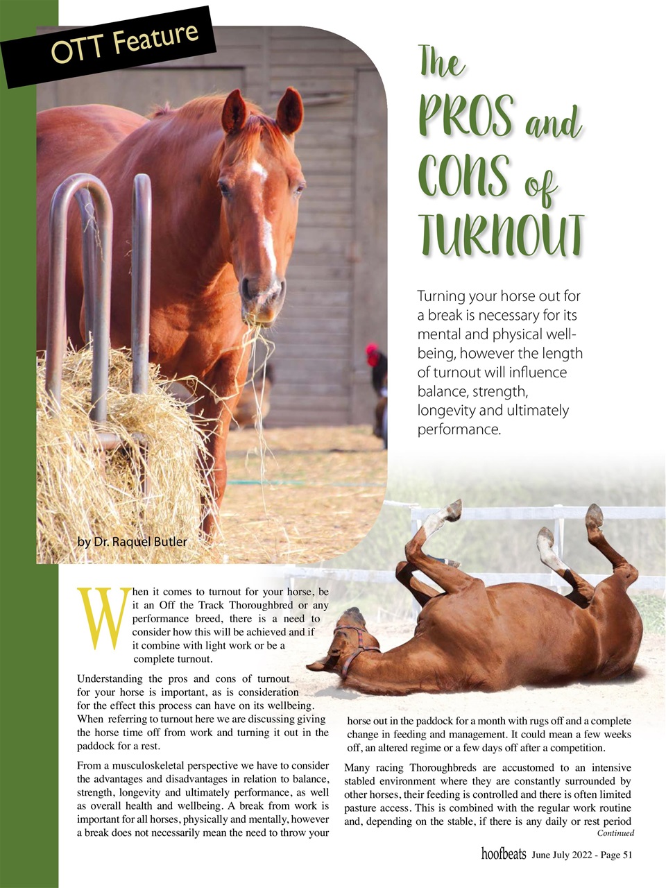 Hoofbeats Preview Pages