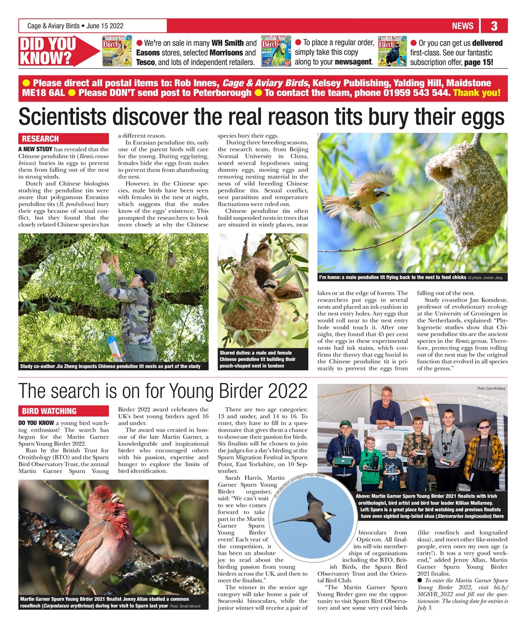 Cage & Aviary Birds Preview Pages