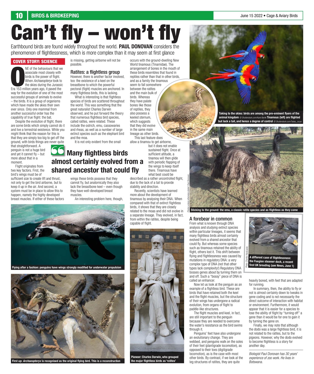 Cage & Aviary Birds Preview Pages