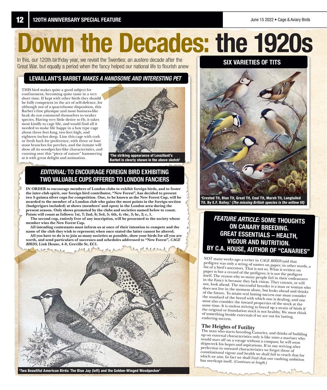 Cage & Aviary Birds Preview Pages