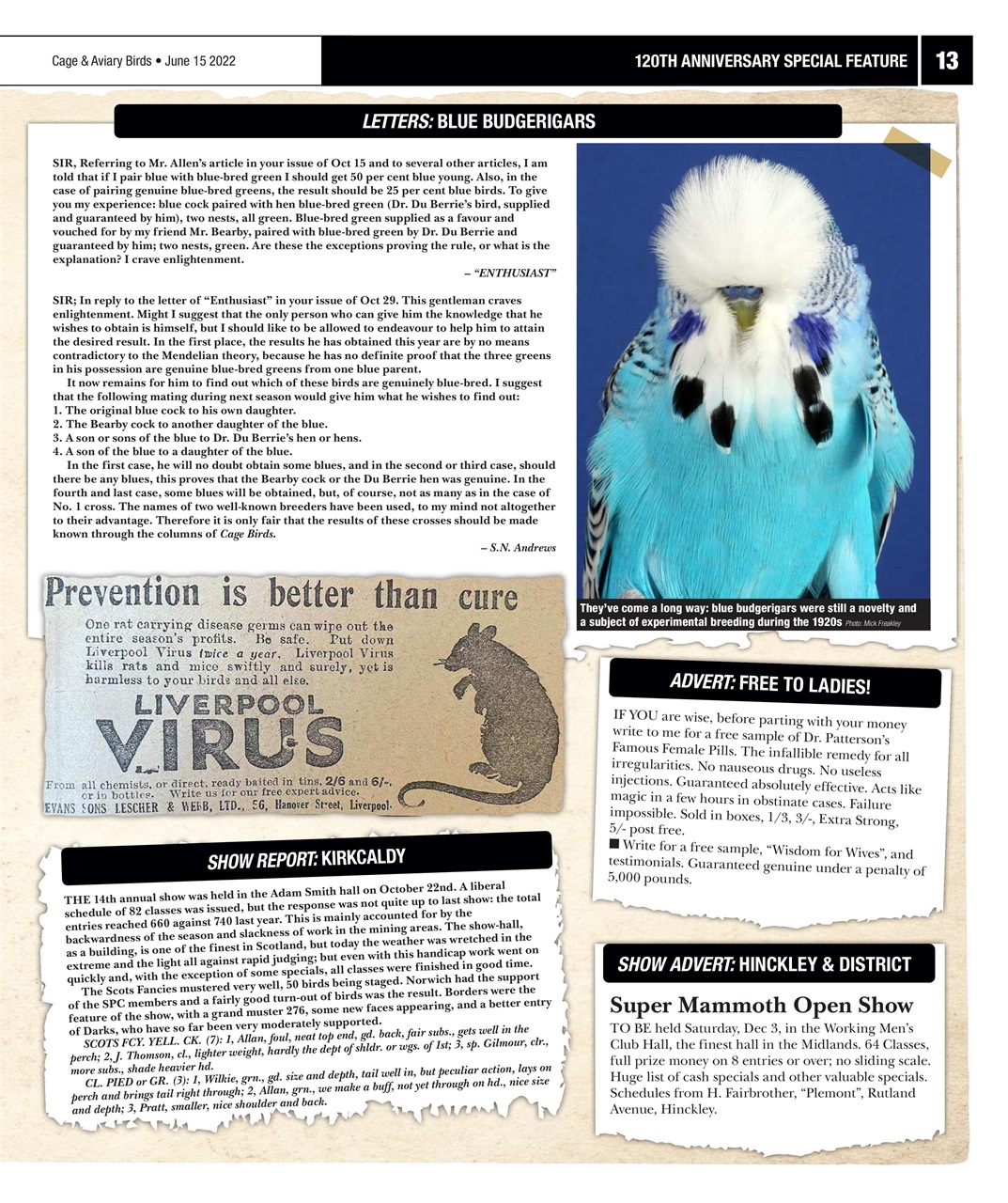 Cage & Aviary Birds Preview Pages