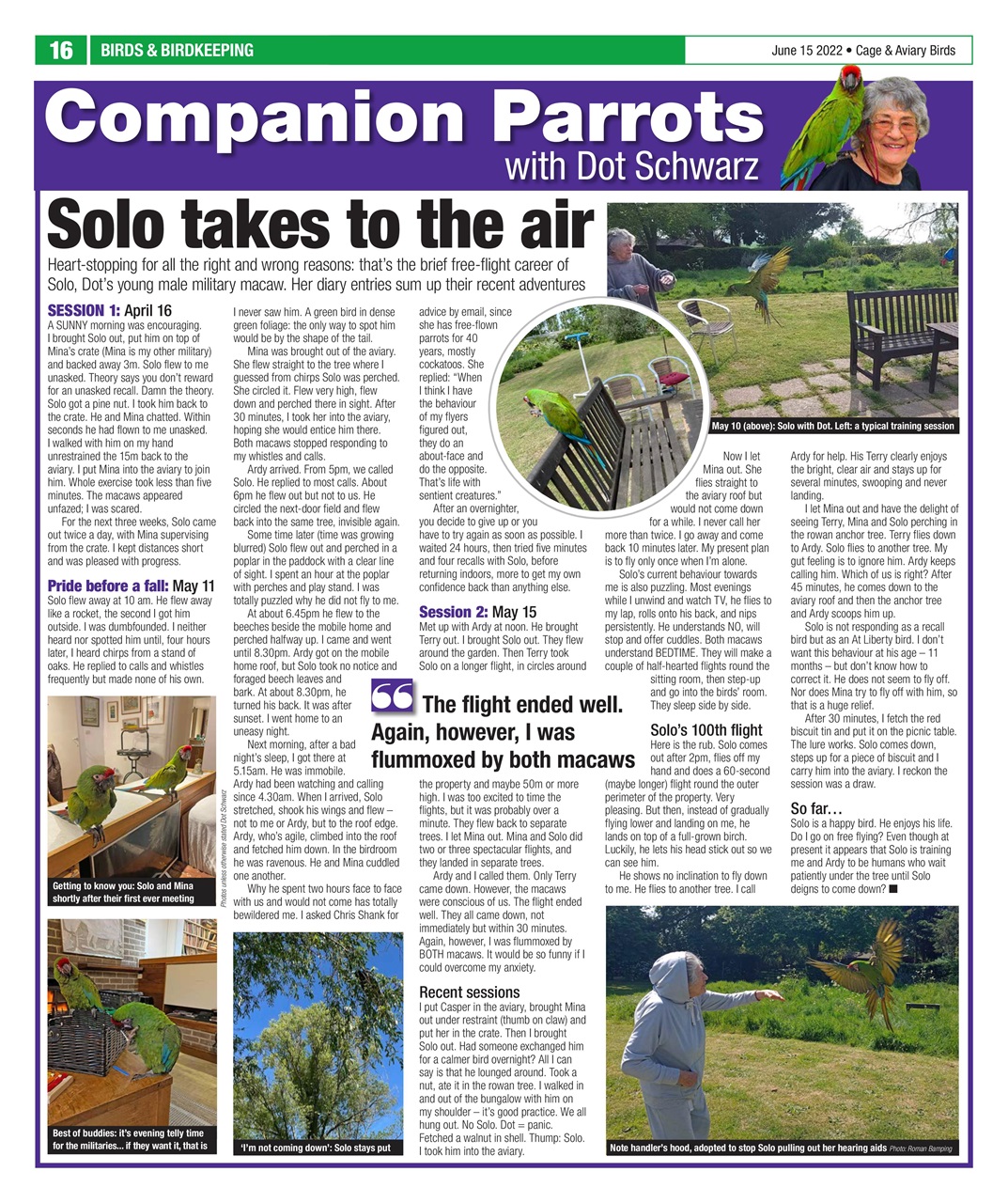 Cage & Aviary Birds Preview Pages