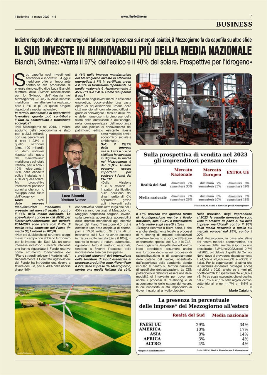 Il Bollettino Preview Pages