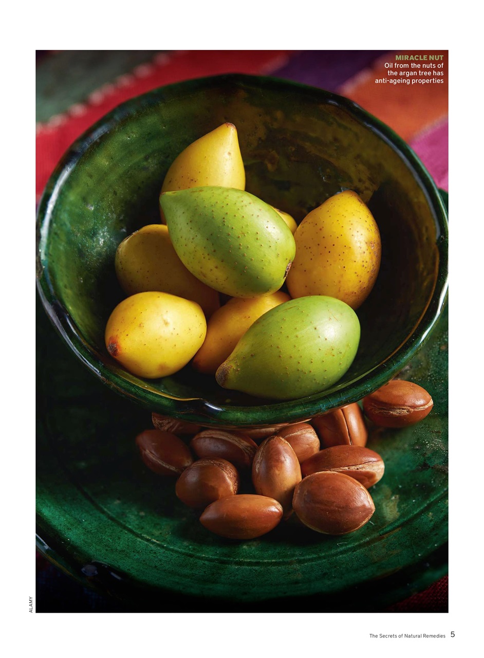 BBC Science Focus Magazine Preview Pages