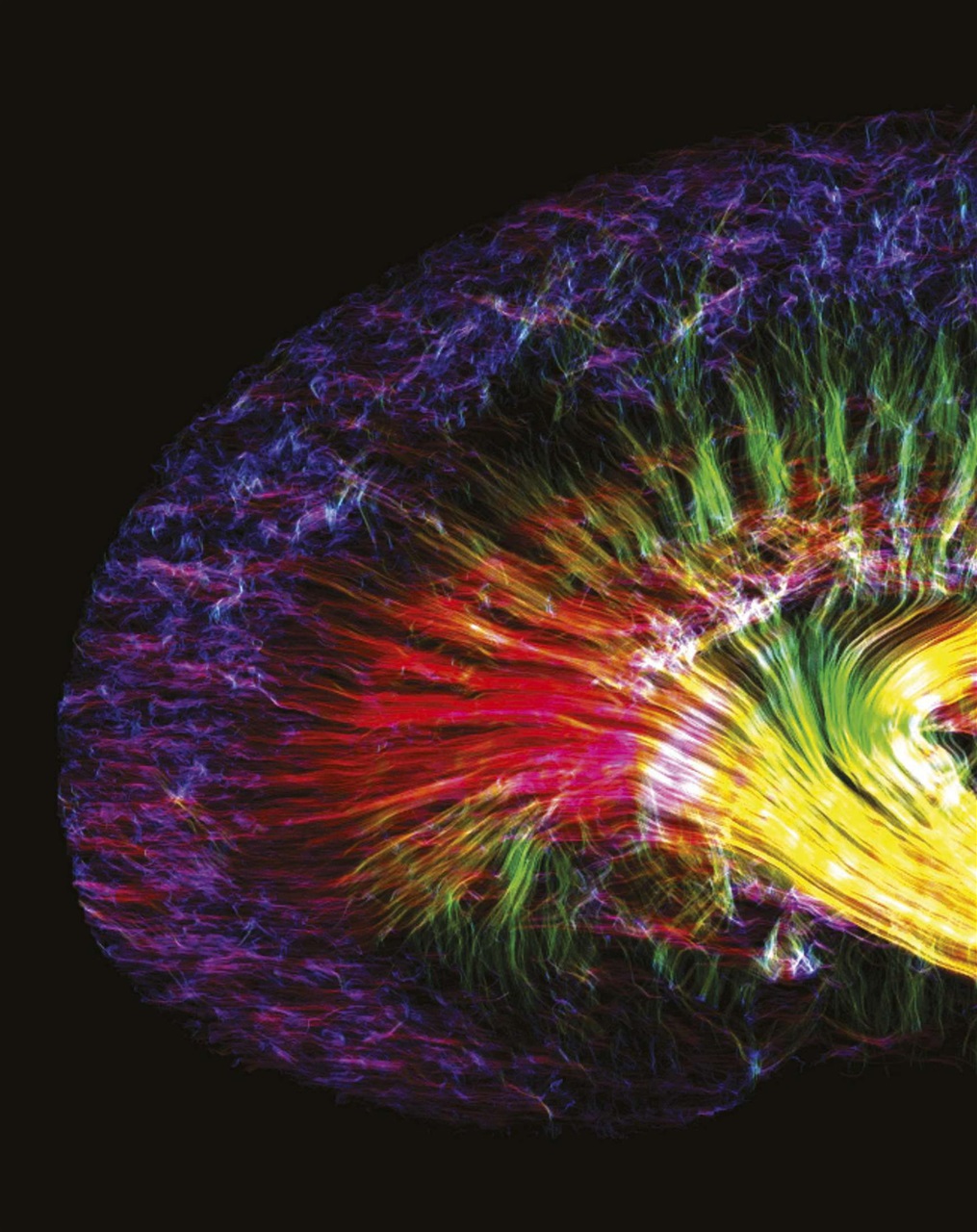 BBC Science Focus Magazine Preview Pages