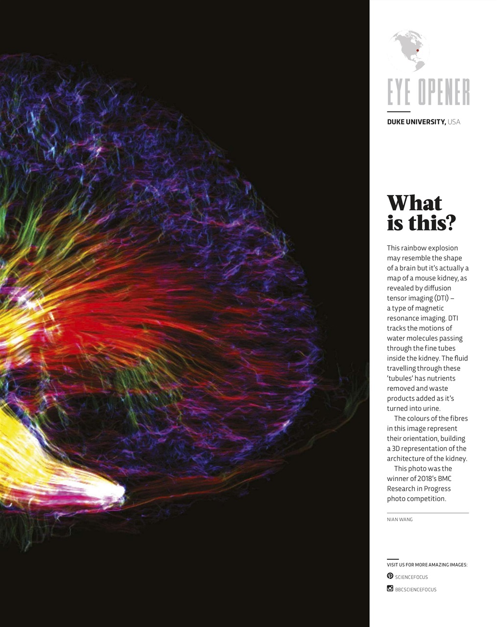 BBC Science Focus Magazine Preview Pages