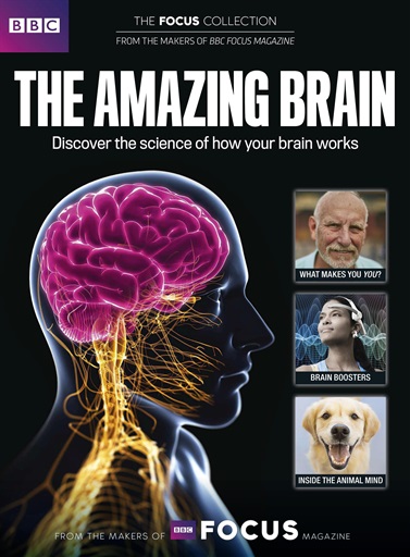 BBC Science Focus Magazine issue 
