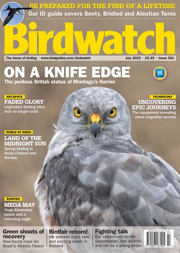Birdwatch Magazine issue 
