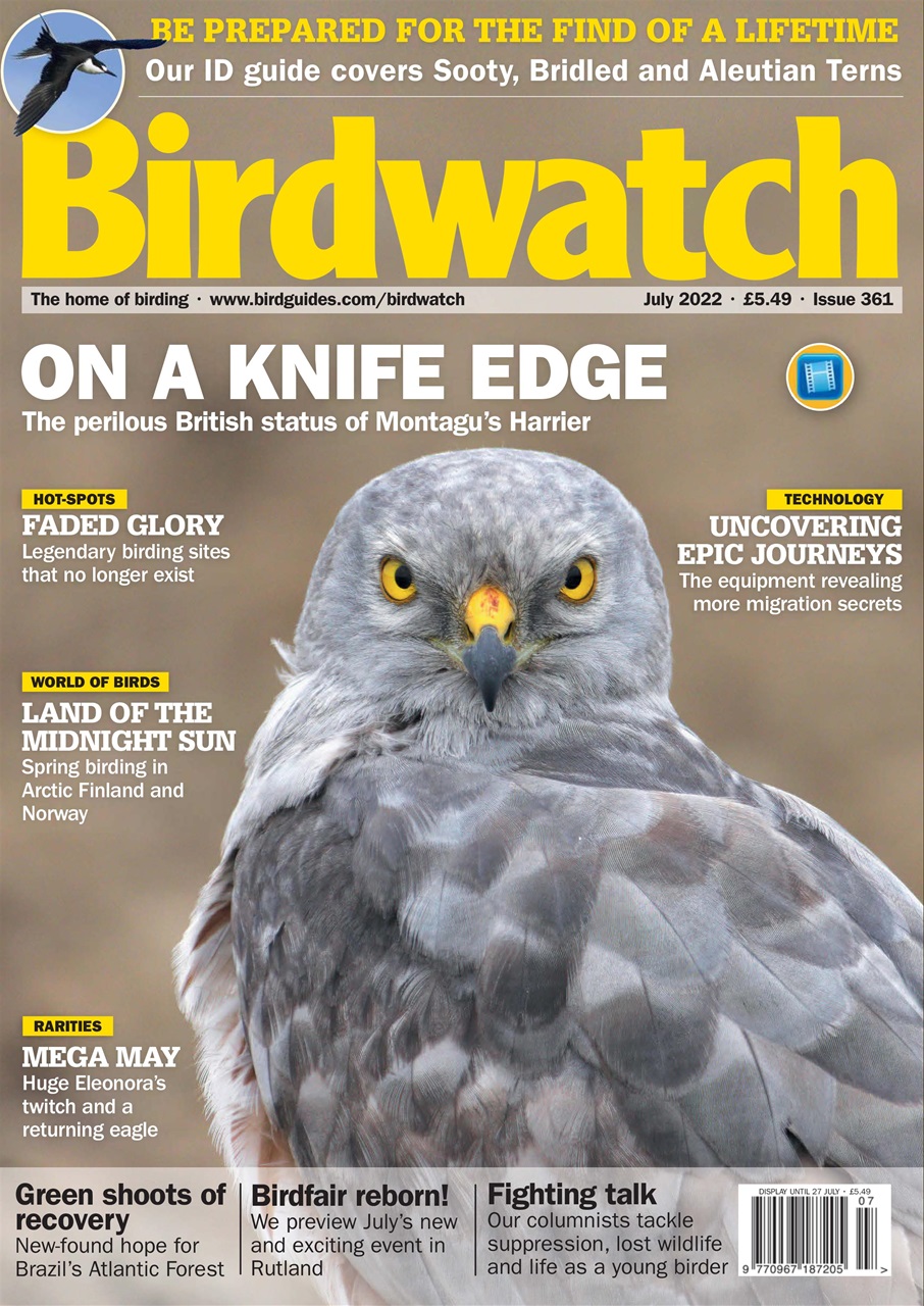 Birdwatch Magazine Preview Pages