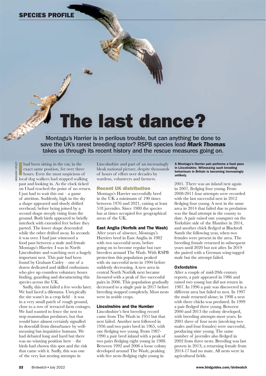 Birdwatch Magazine Preview Pages