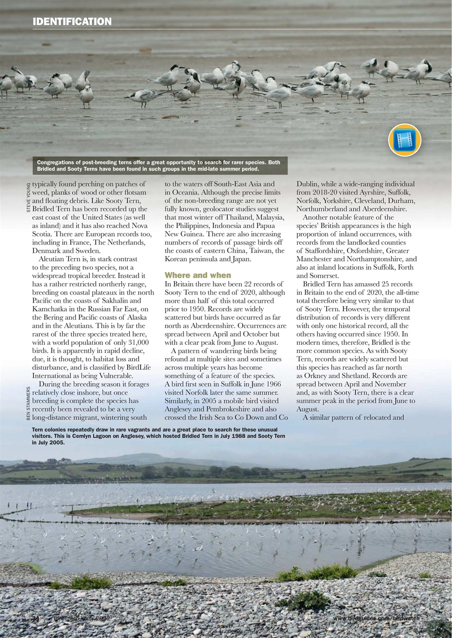 Birdwatch Magazine Preview Pages