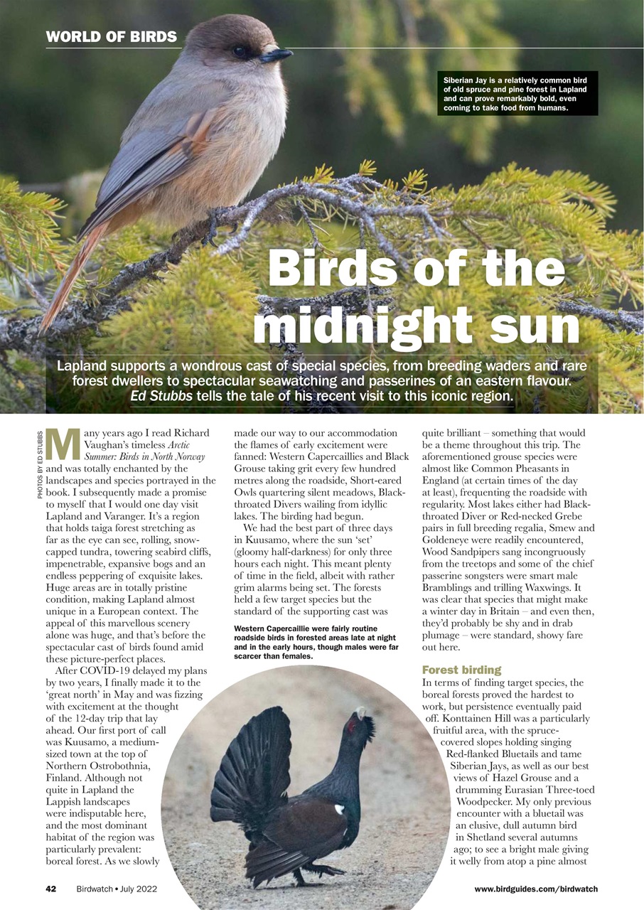 Birdwatch Magazine Preview Pages