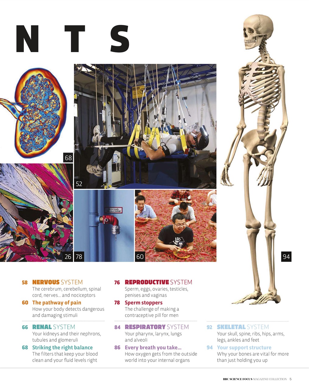 BBC Science Focus Magazine Preview Pages