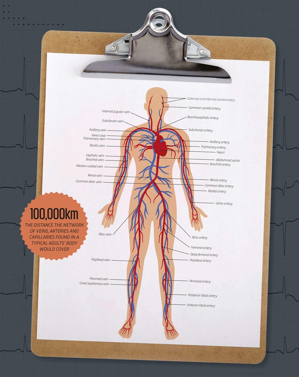 BBC Science Focus Magazine Preview Pages
