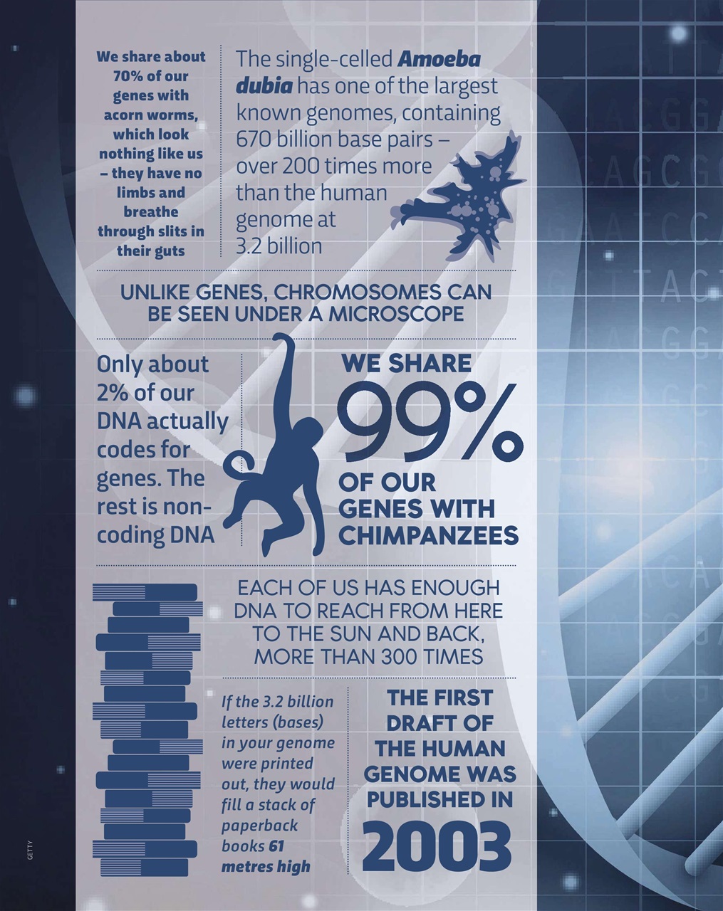 BBC Science Focus Magazine Preview Pages