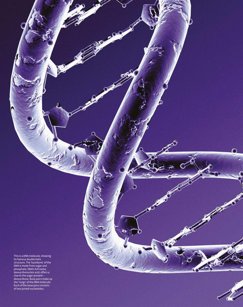 BBC Science Focus Magazine Preview Pages