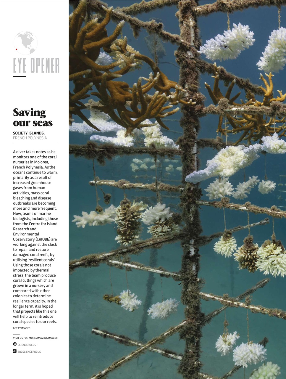 BBC Science Focus Magazine Preview Pages