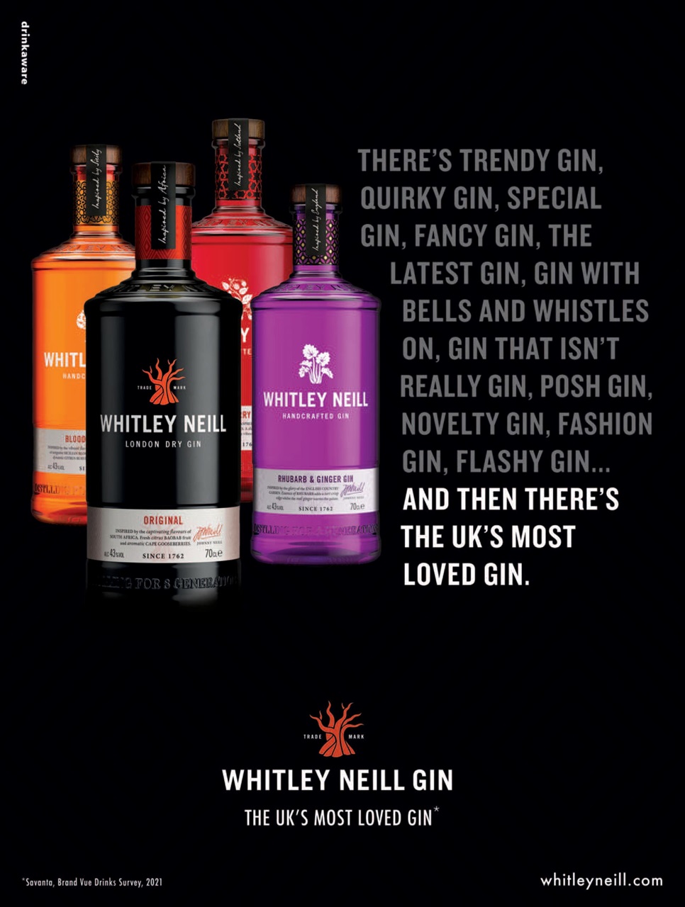 Gin Magazine Preview Pages