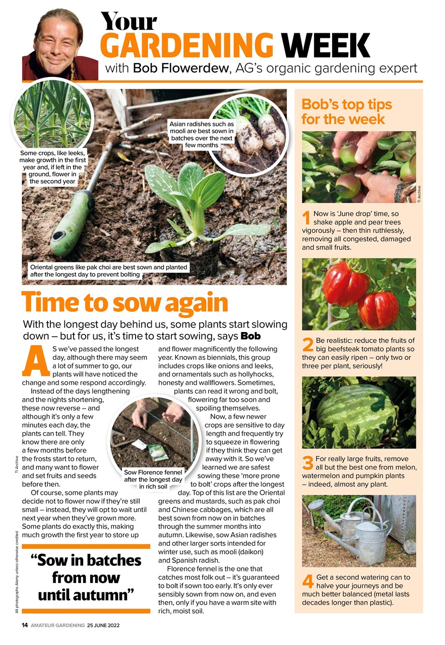 Amateur Gardening Preview Pages