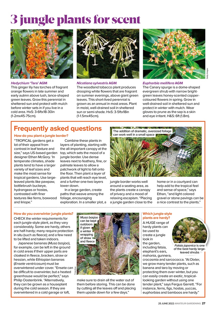 Amateur Gardening Preview Pages