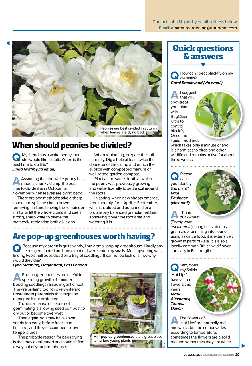 Amateur Gardening Preview Pages