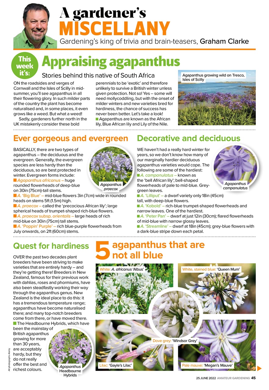 Amateur Gardening Preview Pages