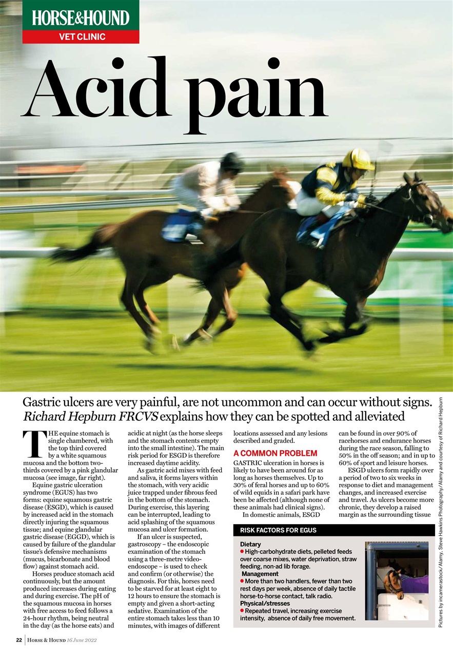 Horse & Hound Preview Pages