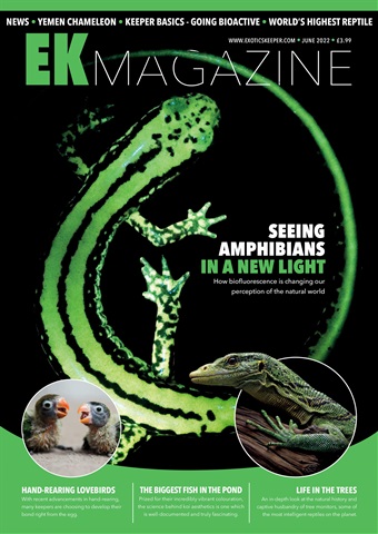 Exotics Keeper issue June 2022