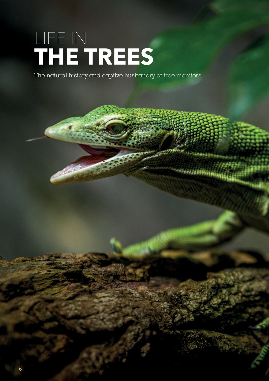 Exotics Keeper Preview Pages