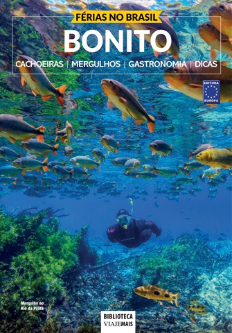 Férias no Brasil e Férias EUA issue Bonito