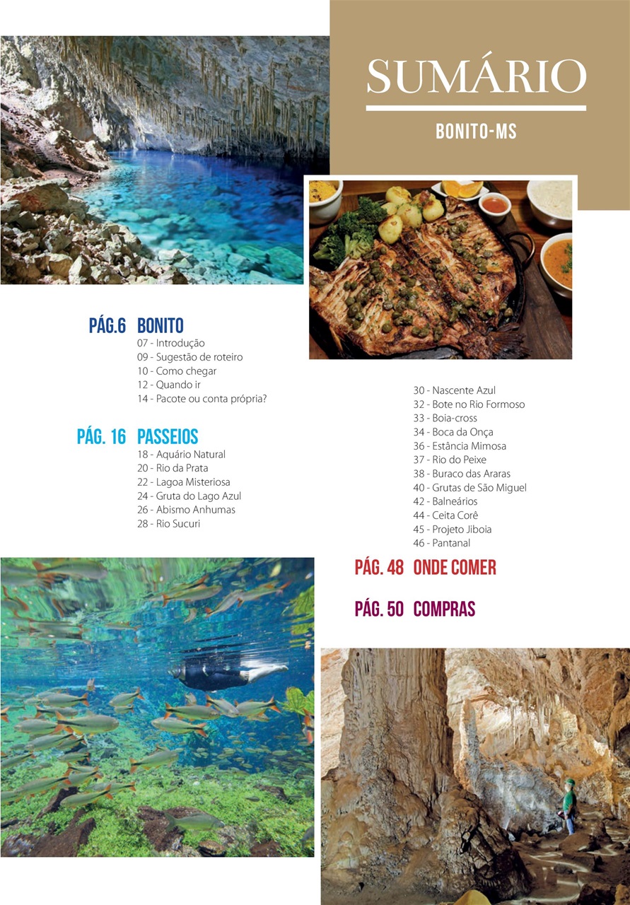Férias no Brasil e Férias EUA Preview Pages