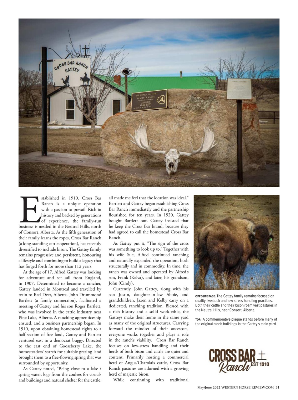 Western Horse Review Preview Pages