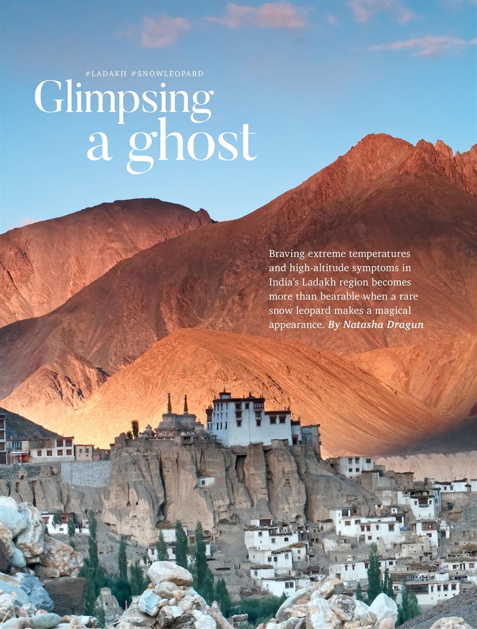 Vacations & Travel Preview Pages