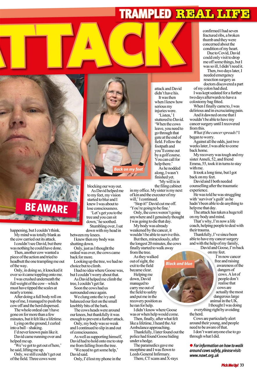 Pick Me Up Preview Pages