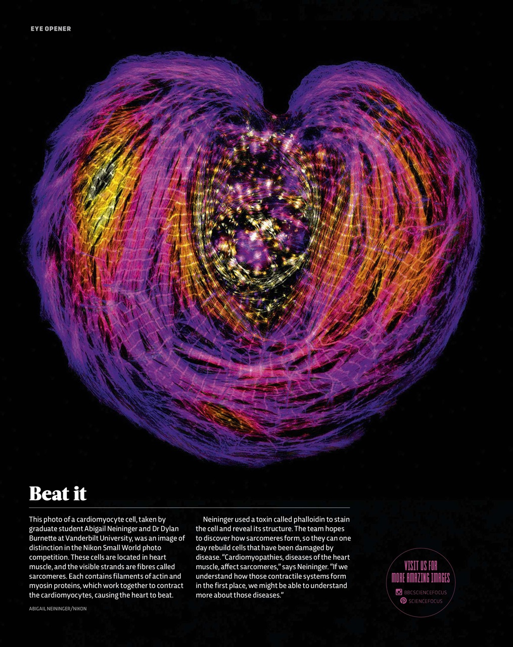 BBC Science Focus Magazine Preview Pages