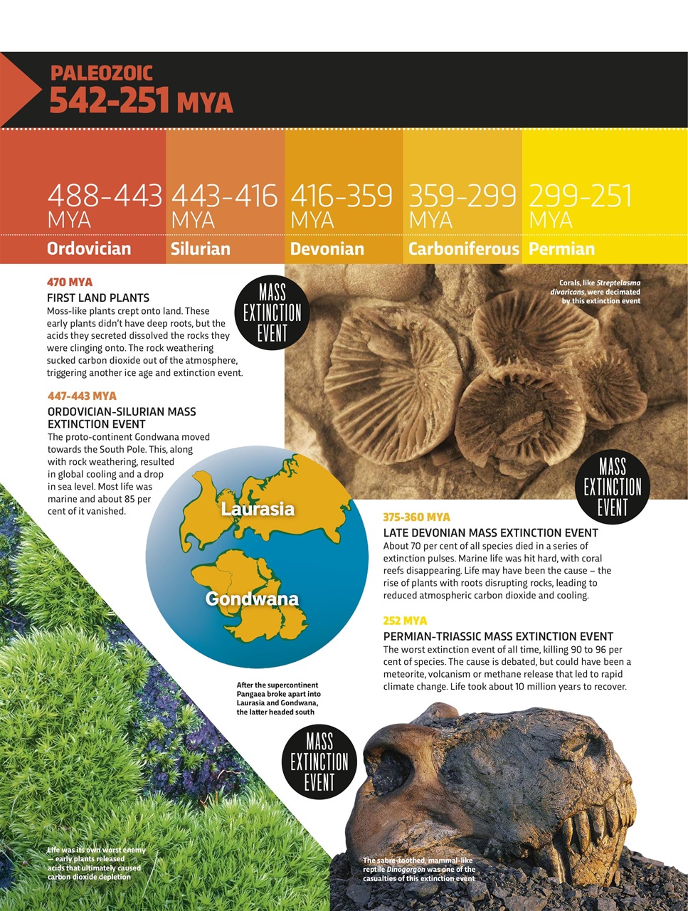 BBC Science Focus Magazine Preview Pages