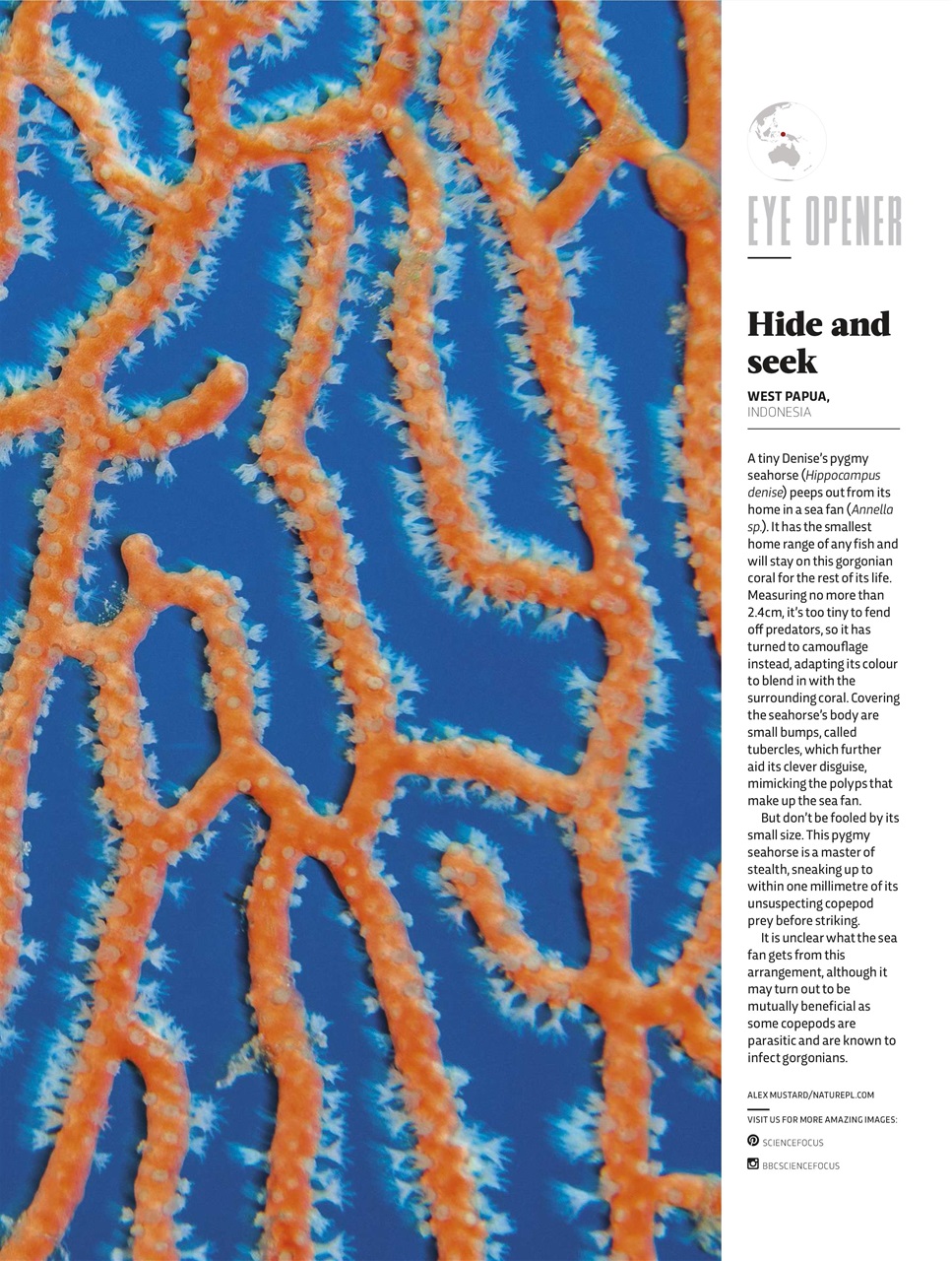 BBC Science Focus Magazine Preview Pages