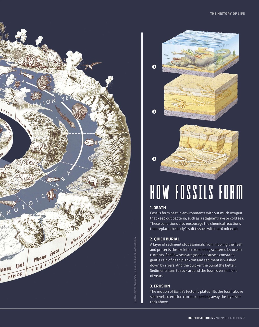 BBC Science Focus Magazine Preview Pages