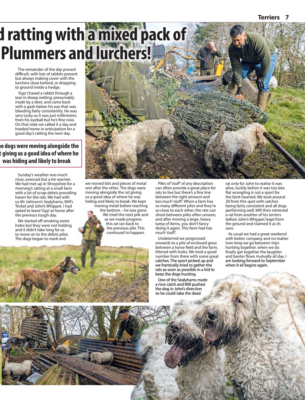 Countryman's Weekly Preview Pages