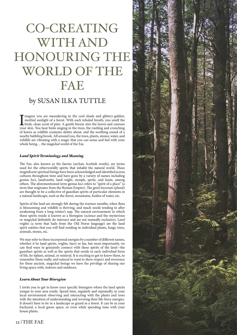 Witchology Magazine Preview Pages